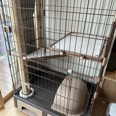 キャットケージ