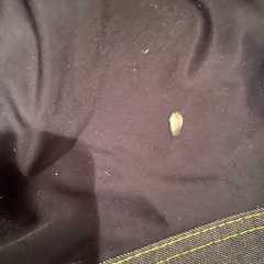 無印ビーズクッション　の画像