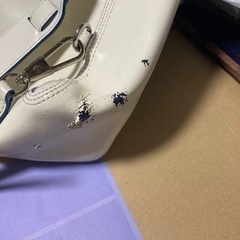 (ジャンク品)3.1 phillip lim リュックの画像