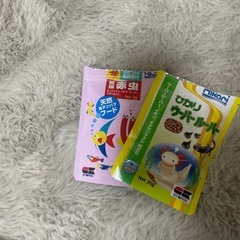 ウーパールーパーご飯