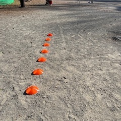 小学生向けサッカーパーソナルレッスン募集！初心者・中級者歓迎！の画像