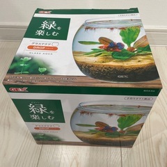 GEX AQUARIUM グラスアクア ドロップ-N アクアリウム 小型水槽 水草 テラリウムの画像