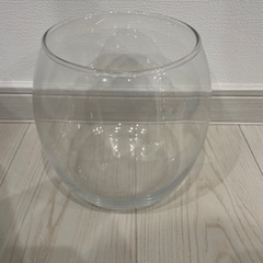 GEX AQUARIUM グラスアクア ドロップ-N アクアリウム 小型水槽 水草 テラリウムの画像