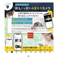 ペット自動給餌器【未使用】カリカリマシーンV2Cの画像