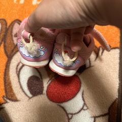アンパンマン　ドキンちゃん　靴の画像