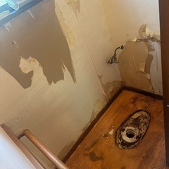 トイレの便器、床、クロス、CF交換