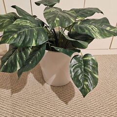 フェイクグリーン