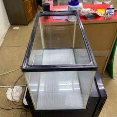 60cm水槽 熱帯魚 補修跡ありの画像