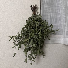 26日までで破棄、ユーカリ スワッグ