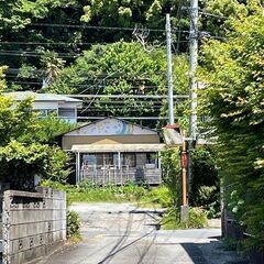 ✨占いカフェ✨プロの先生方がお待ちしています！