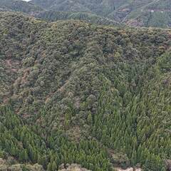 【売却済】山林物件214　福井県南条郡南越前町