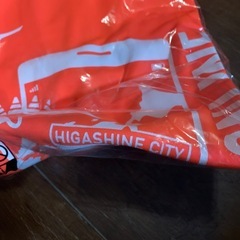 MIZUNO 東根市 さくらんぼマラソン　 Tシャツ　の画像