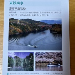 恵那峡遊覧船割引券8名分　名鉄優待券の画像