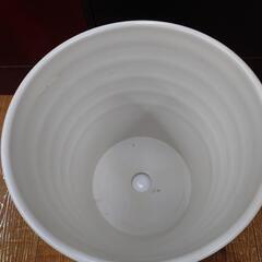【決まりました】☆プラ製植木鉢 鉢皿付きの画像