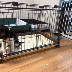 犬小屋お譲りします
