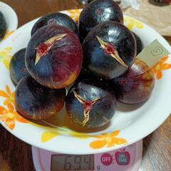 ⑤✦本日限定✦食べ頃イチジク！  12個   690グラムの画像