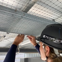 鳩対策します！ − 和歌山県