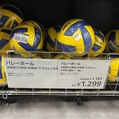 バレーボール練習しませんか