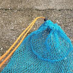🐚🎣網の画像