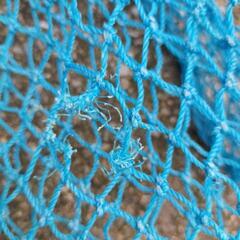 🐚🎣網の画像