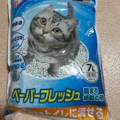 猫ちゃんの砂の画像