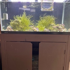 90cm オーバーフロー水槽セットの画像