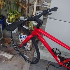 赤い自転車（303）の画像