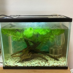 水槽セット  