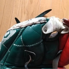 アイスホッケー　ゴーリー防具の画像