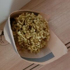 0円：ドライフラワー ②