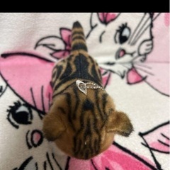 猫のぬいぐるみ二個セットの画像