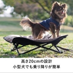 ドッグコット