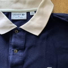 Tシャツ　ラコステ　の画像