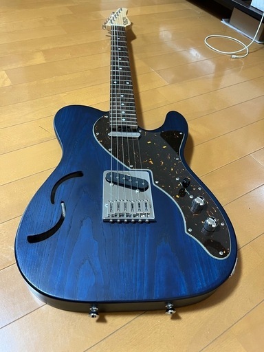 SCHECTER PS-S-PT-TH PBT R 