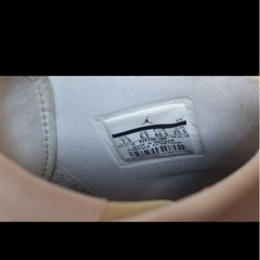 AIR JORDAN25.5センチの画像