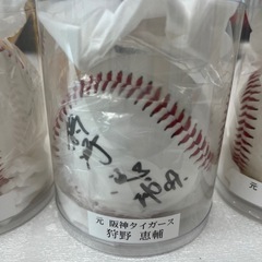 元阪神タイガース選手 サイン入りボール4個セットの画像