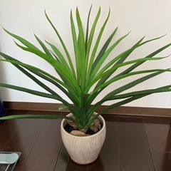 本物に近い作り、
造花、観葉植物