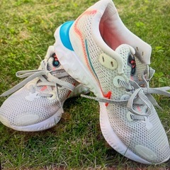 明日処分します　数回使用のみ NIKE 23cm ゴルフシューズ...