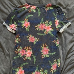 人気即売 H&M Haibisukasu pattern ボタニカル Teeの画像