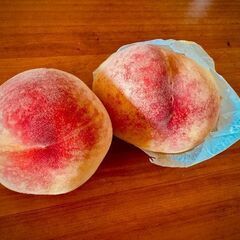 専用アンダーソンケーブル付