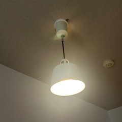 【最終値下げ】ライト　電球付の画像