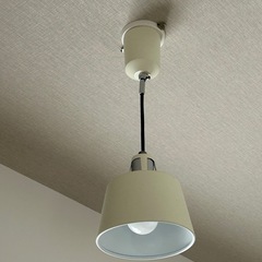 【最終値下げ】ライト　電球付の画像