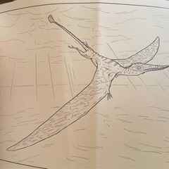 恐竜ぬりえの画像
