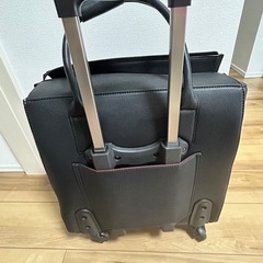 キャリーバックの画像