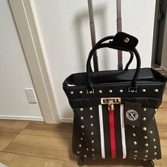 キャリーバック