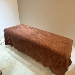 エステベット用　タオル大判　