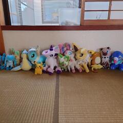 ポケモン ぬいぐるみ まとめ セット