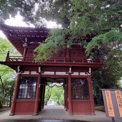 ちっちゃい秋見つけませんか？🍂