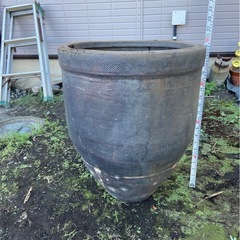 骨董水瓶
