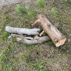 予定者ありの画像